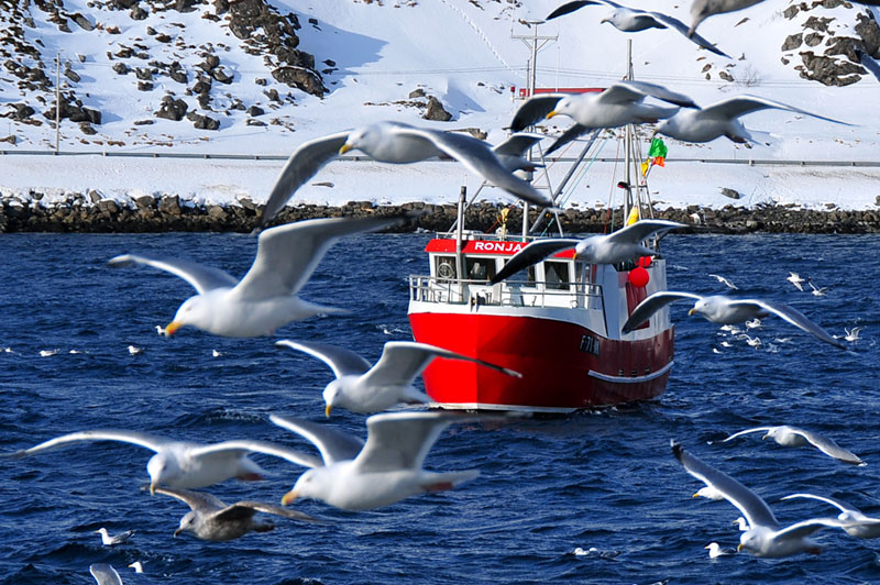 Scandinavie, Suede, Norvege, Finlande